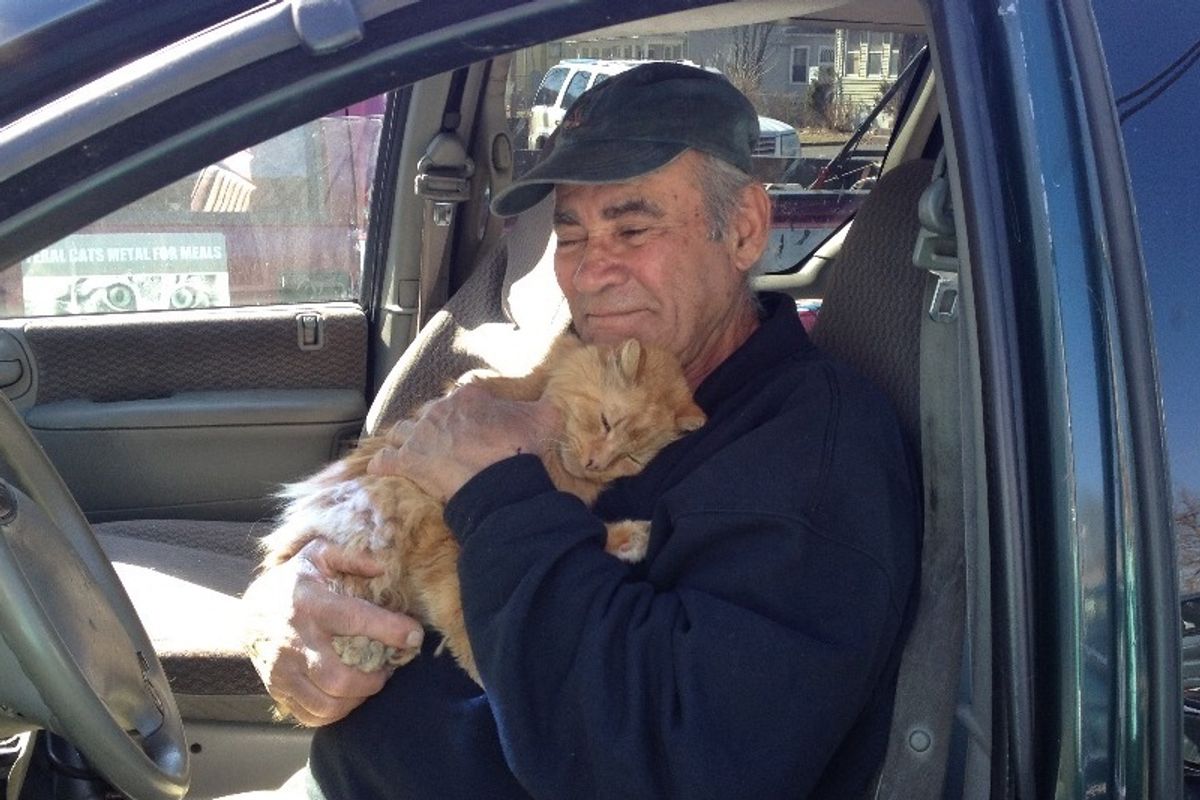Scrap Metal Worker Feeds Neighborhood Cats, Hasn't Missed a Day in 22 Years..