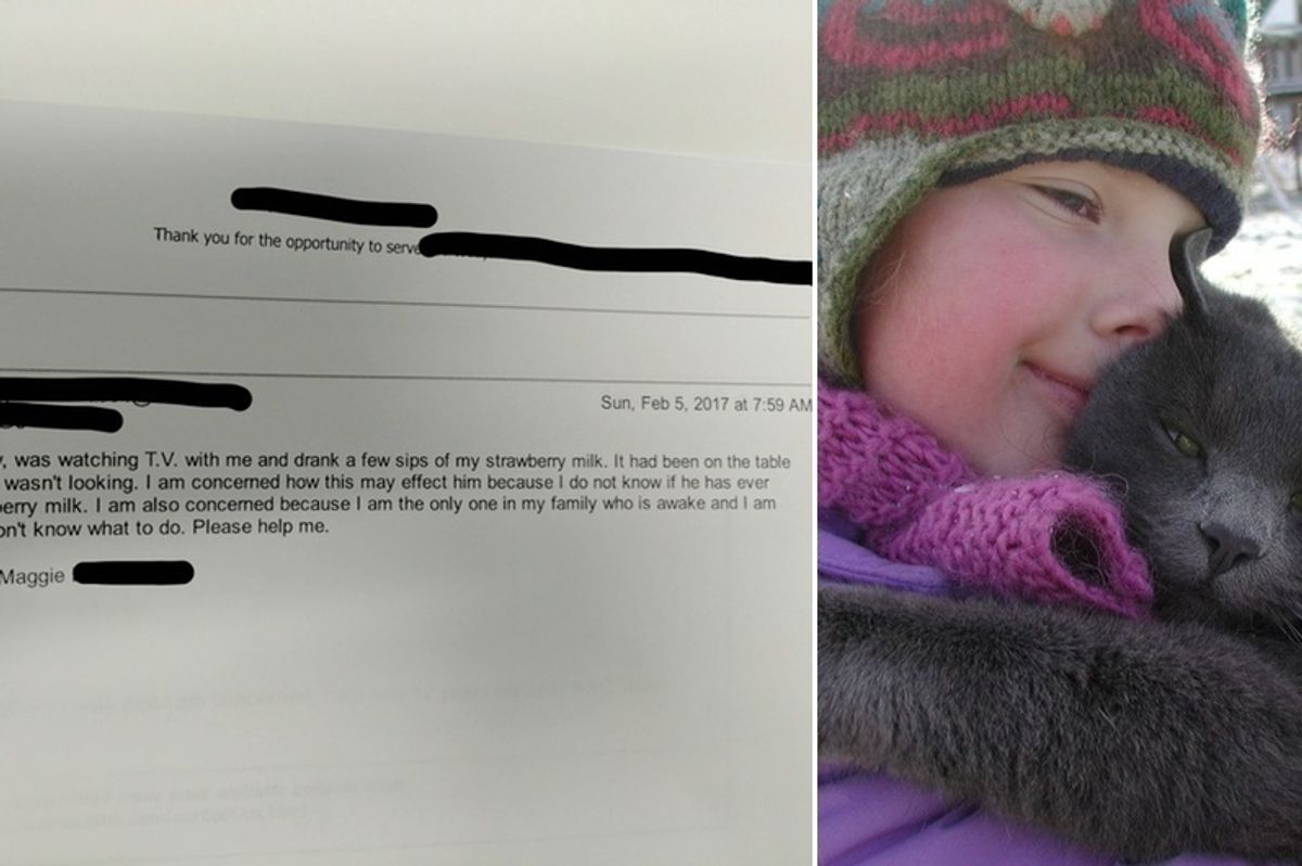 Concerned 12 Year Old Girl Sends Vet Adorable Message After Her Cat Sneaked Sips of Strawberry Milk..