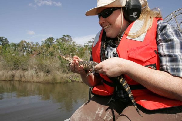Airboat Tours of The Bayou