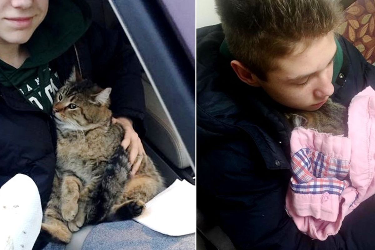 14-year Old Boy Dives into Overpass to Save Cat Hanging Over Bridge - Kitty Clings to Him for Life...