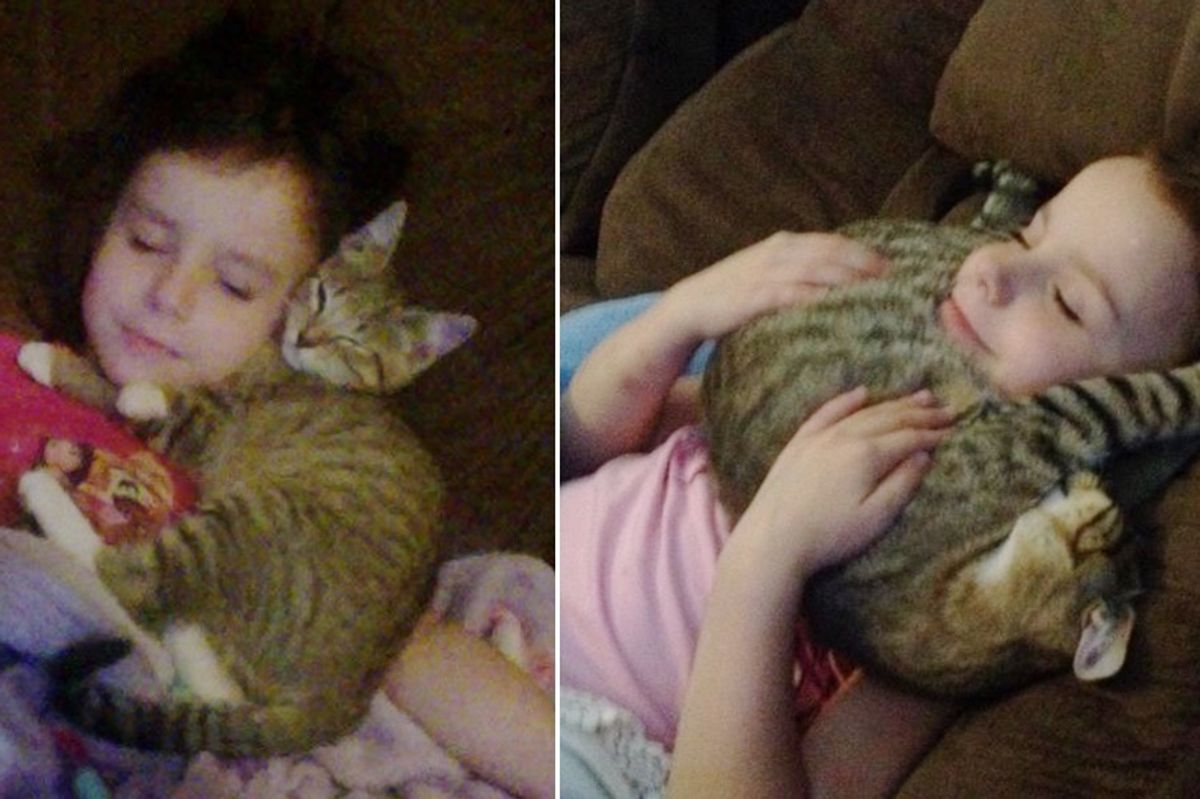 Little Girl Refused to Leave Until They Saved Stray Kitten from the Woods, Now 2 Years Later..