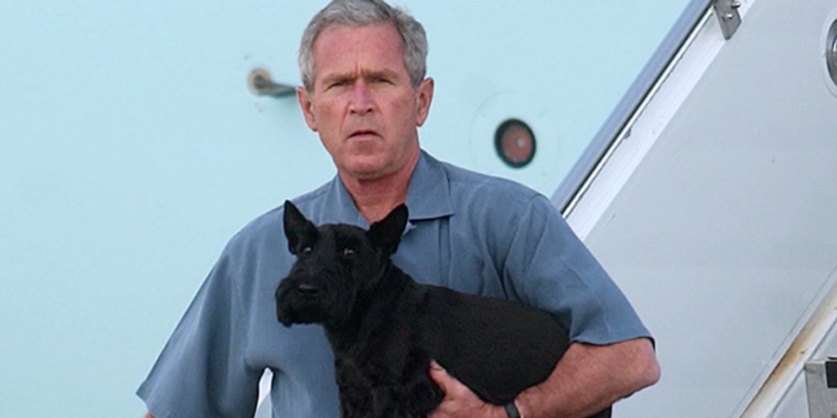 Popular Artist George W. Bush Went on Television and Bodied Trump