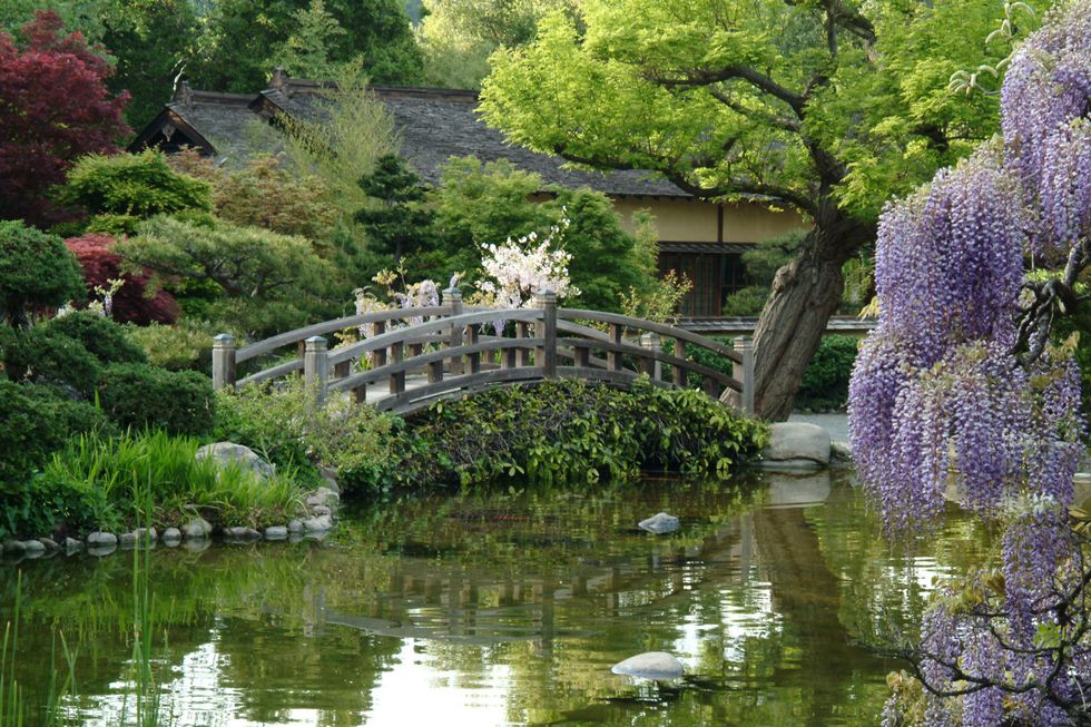 Find Zen at These Japanese Gardens Around the Bay Area - 7x7 Bay Area