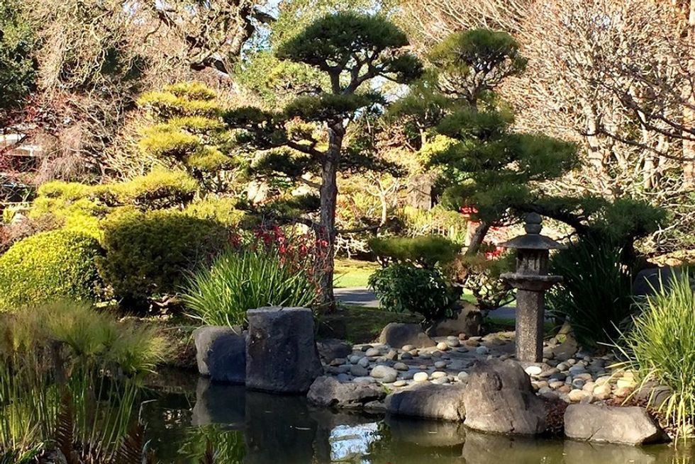 Find Zen At These Japanese Gardens Around The Bay Area 7x7 Bay Area