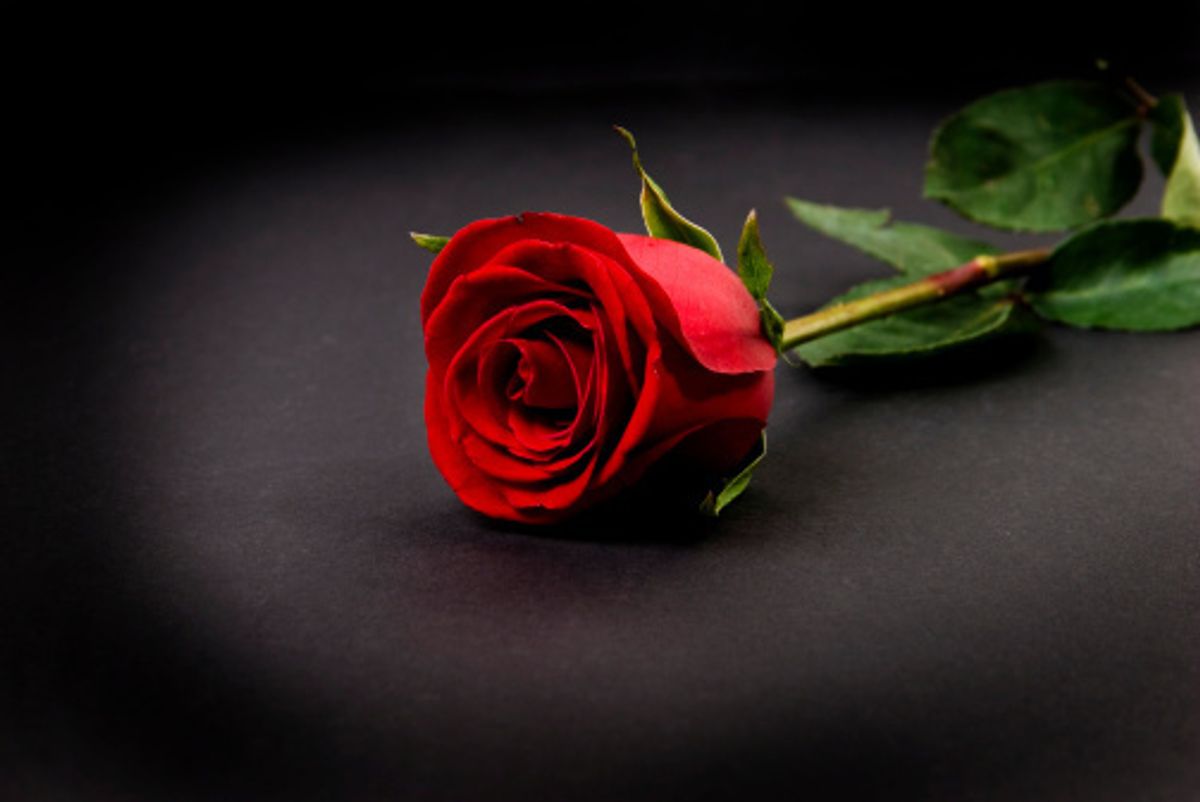 The Bachelor: Final Thoughts on After the Final Rose