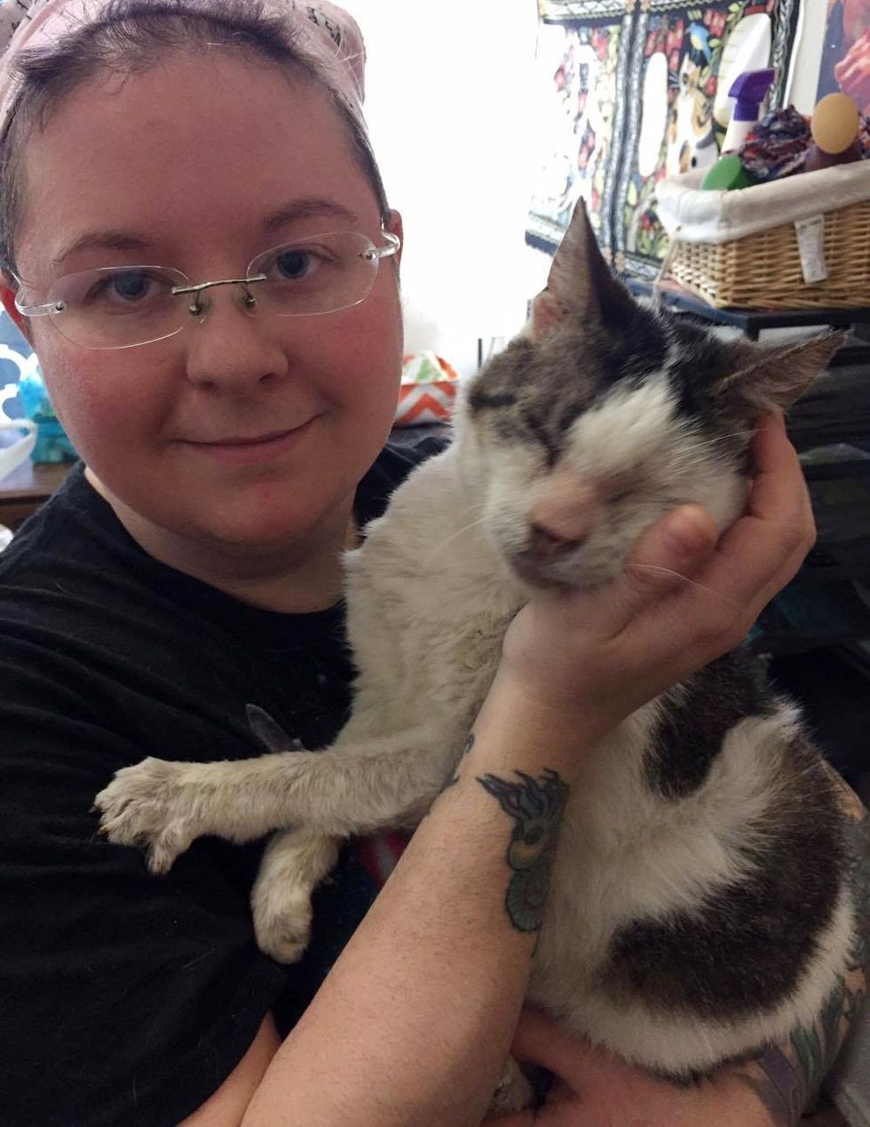 12 Yearold Cat Who Was Neglected, Receives Love And Can't Stop Hugging