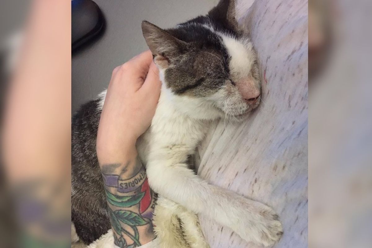 12 Year-old Cat Who Was Neglected, Receives Love And Can't Stop Hugging His Rescuers...