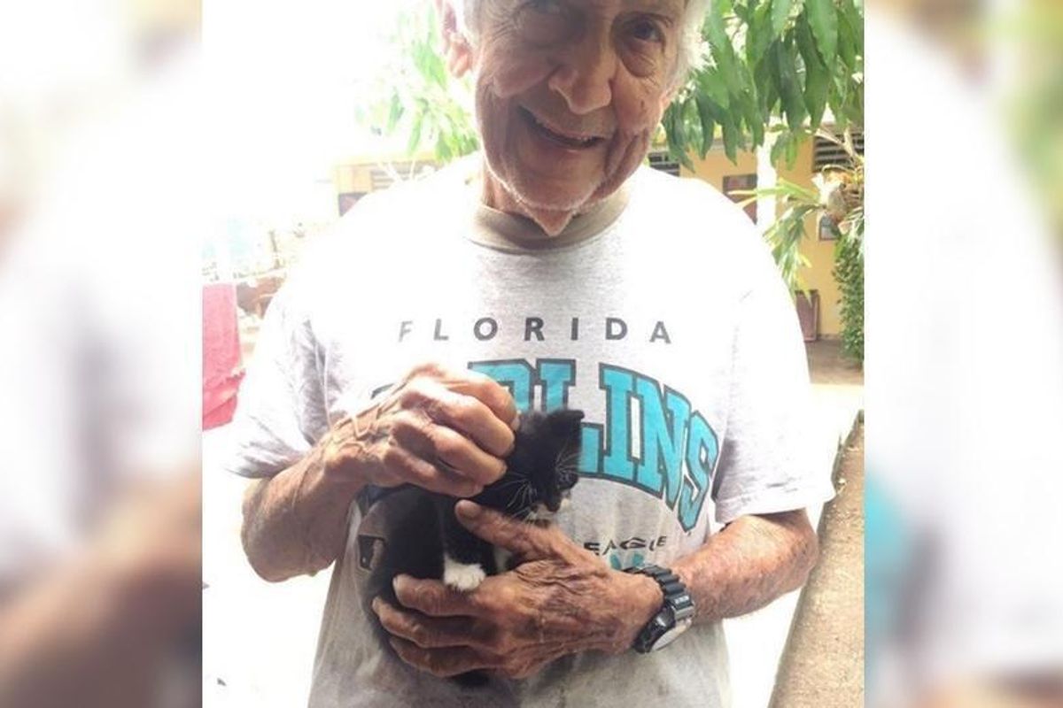 Grandpa Secretly Raises Stray Kittens After Wife Said They Couldn't Keep Them..