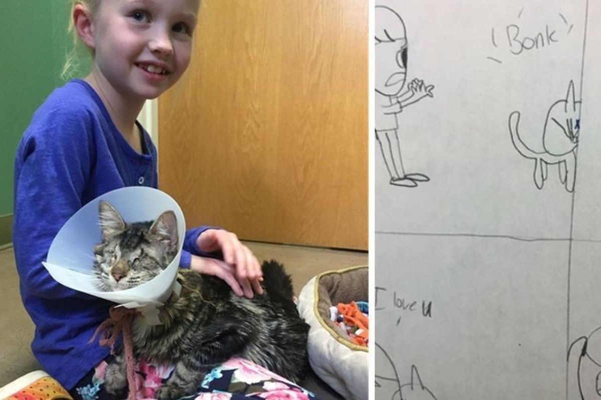 8 Year Old Girl Draws Pictures of Her Life with Blind Cat  Until Her Parents Let Her Adopt Her..