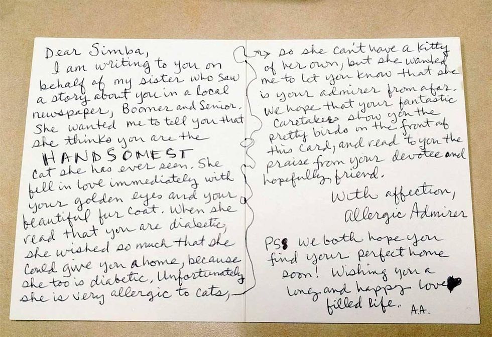 11 Year Old Shelter Cat with Special Needs Receives Letter from ...