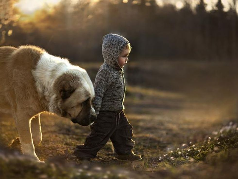 st bernard with kids