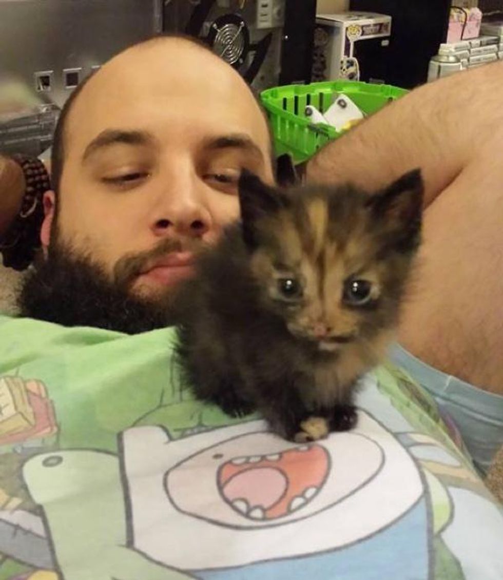 They Gave A Little Runt A Home She Clings To Them For Life Then And Now Love Meow 3856