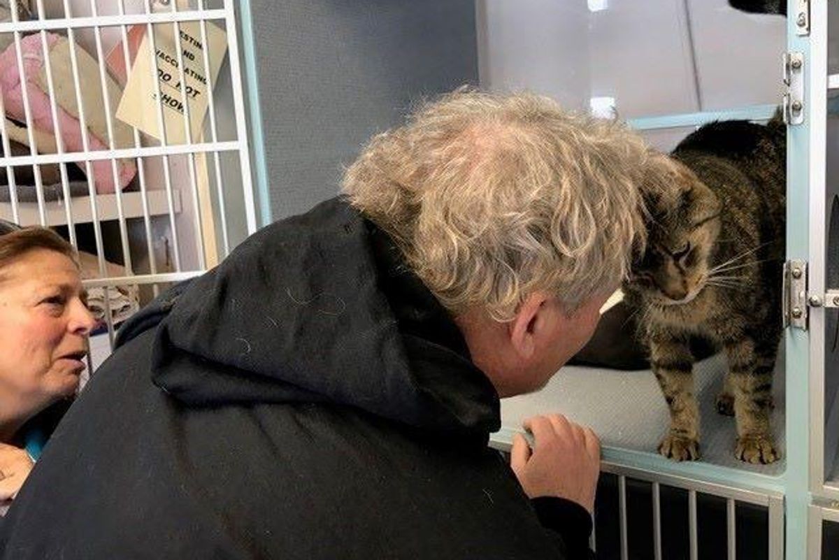 Family Saw Photos of Their Missing Cat on Shelter Page, Tearful Reunion After 2 Years...