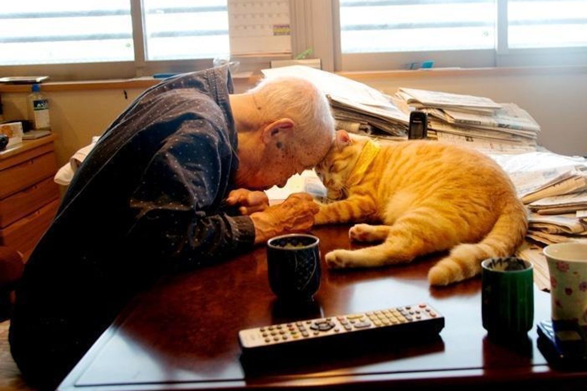 "I Got A Cat For My Sick And Grumpy Grandpa, and He Turned His Life Around"