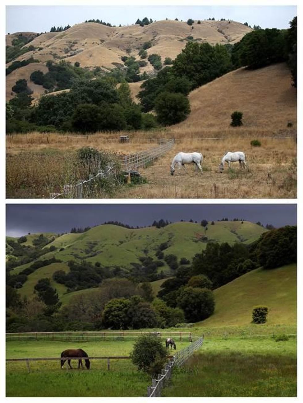 Before and After the Drought 