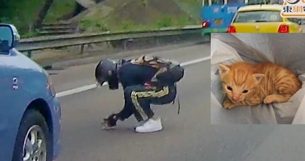 Man Stops Traffic to Save a Tiny Kitten in the Middle of Busy Road.. (with Updates)