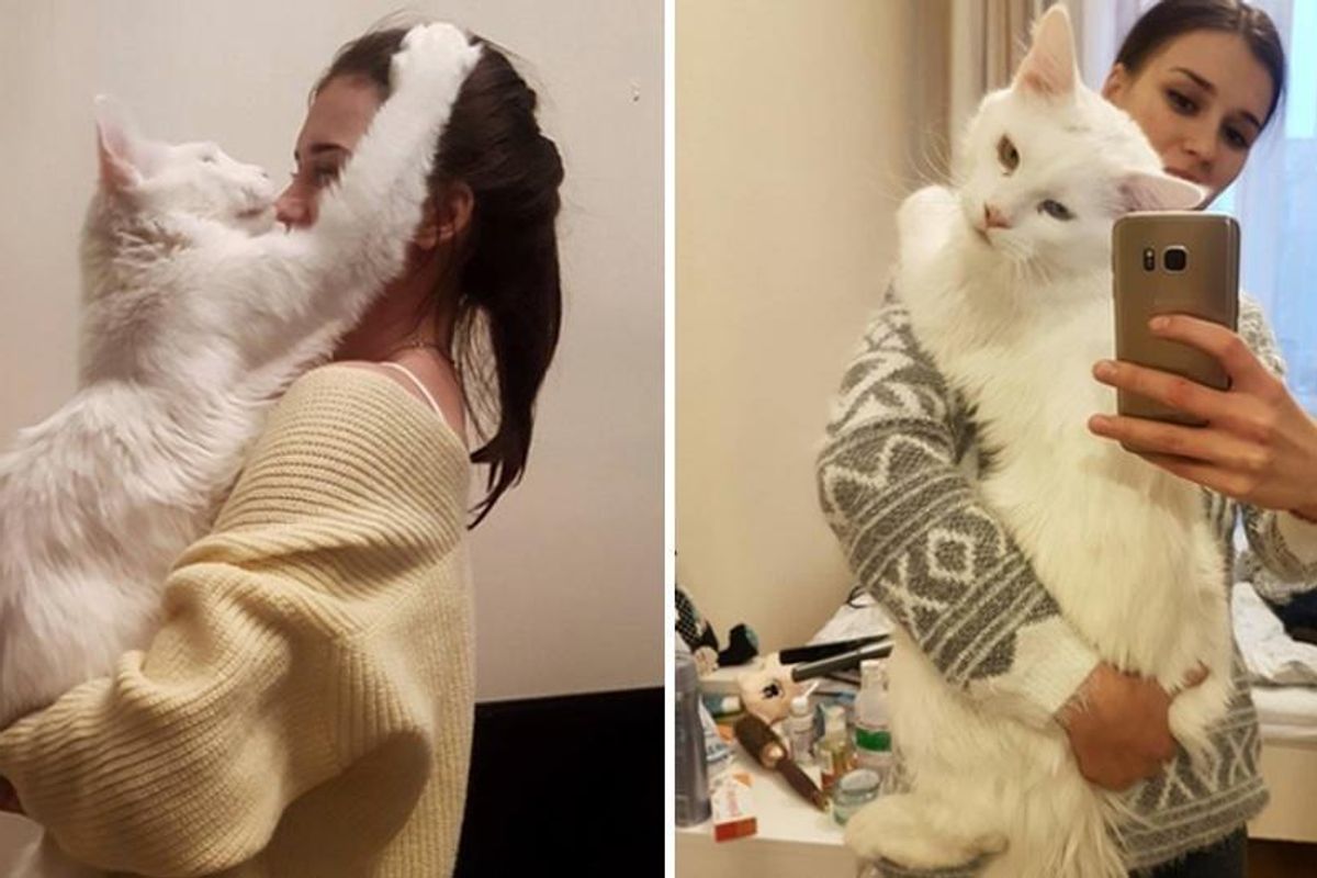 Cuddly Big Kitty Grows Up Hugging His Human Every Chance He Gets
