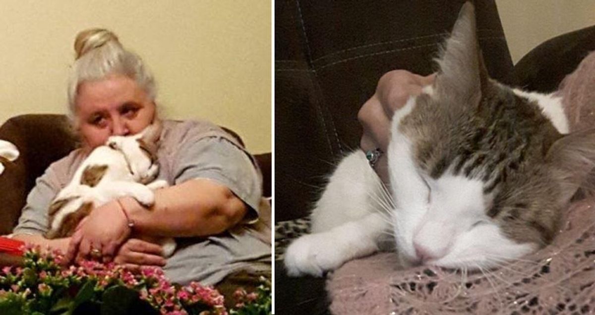Tailless Cat Insists to Be with Sad Grandma Who Never Liked Cats, It Changes Her Life...