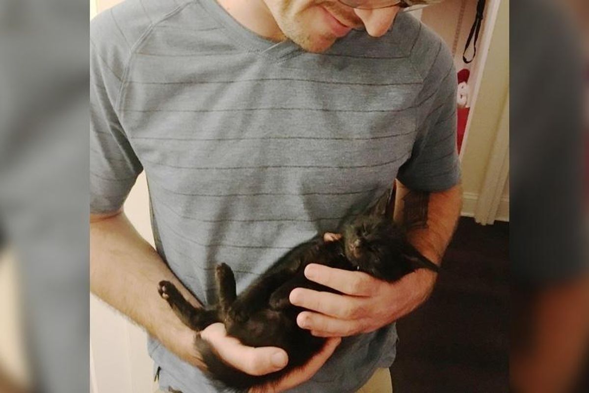 Orphaned Kitten Curls Up in Man's Arms Asking Him to Be His Human...