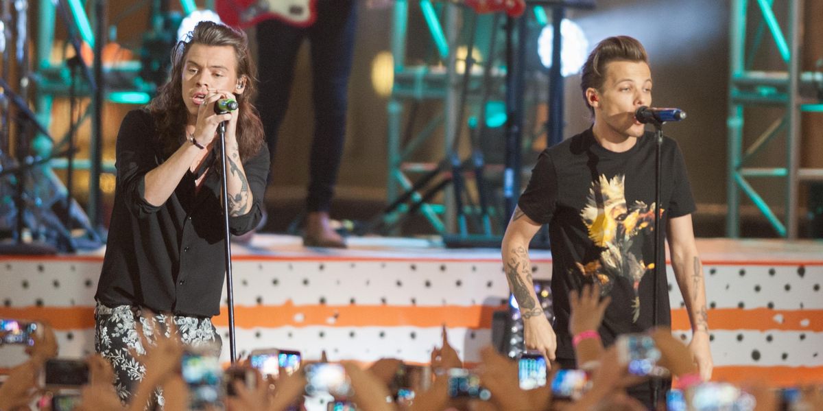 Harry Styles Addresses Fan Theory That He Wrote "Sweet Creature" About Louis Tomlinson