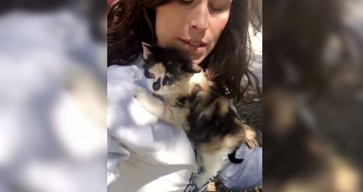 Woman Hugs a Kitten No One Wanted, the Kitty Won't Let Her Go...