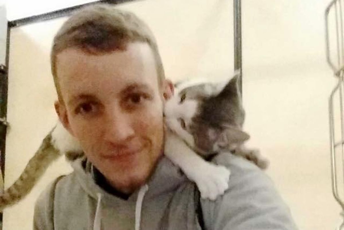 Shelter Cat Climbs on Man's Shoulders Asking Him to Be His Forever Human...