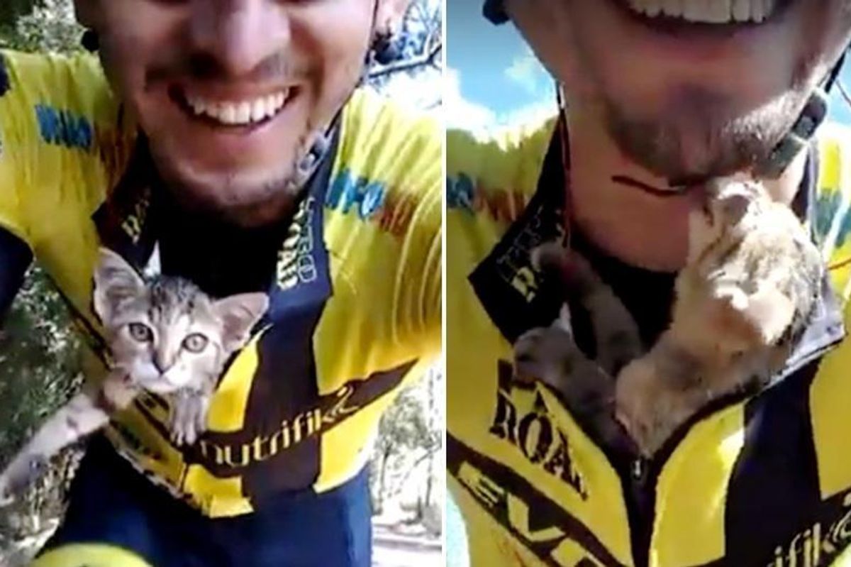Kitten Can't Stop Kissing Cyclist Who Saved His Life...
