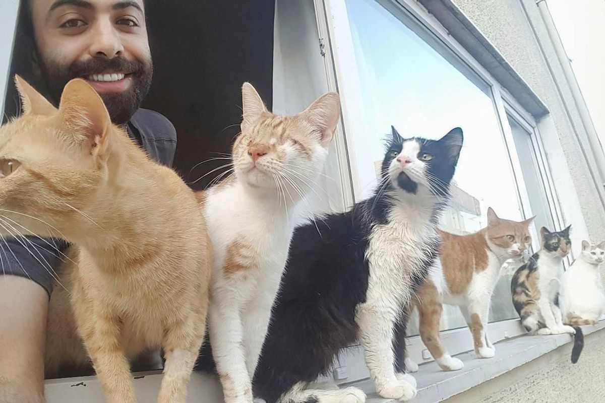 Pianist Saves Injured Cats from Streets and They Become His Most Loyal Audience...