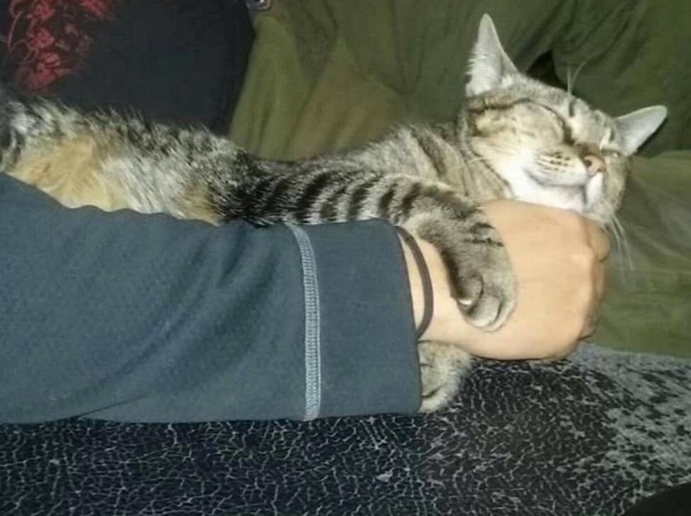 Man Saves Saddest Shelter Cat He's Seen, They Haven't Stopped Cuddling