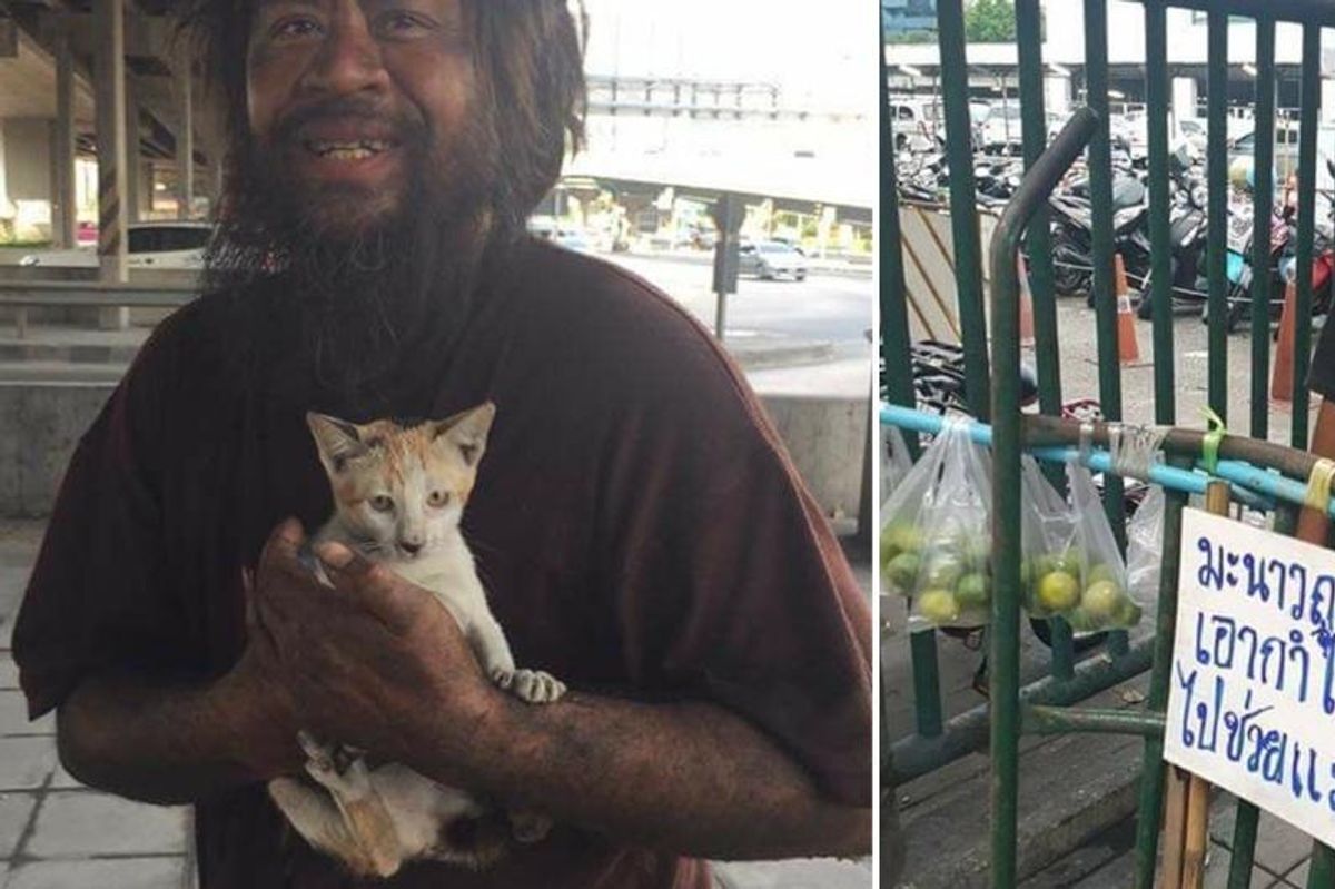 Homeless Man Raises Funds to Feed Stray Cats Before Himself Every Day...