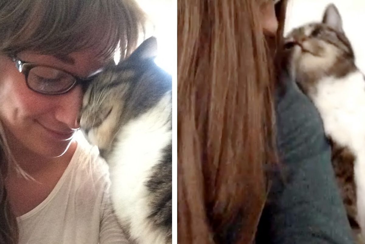 Senior Cat Rescues Young Woman From Rigors of School Through Head Snuggles...