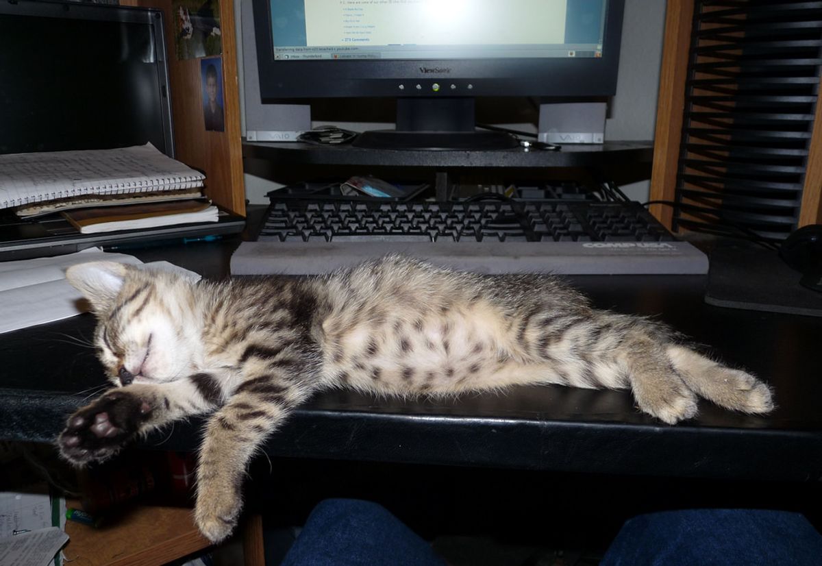 CNN, Rover, Casper — Apply Where Media Jobs Meet Your Sleep Cycle