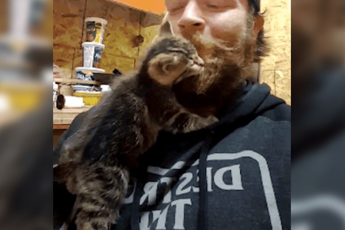 Man Saves Feral Kittens Who Were Terrified of Him But One Week After the Rescue...