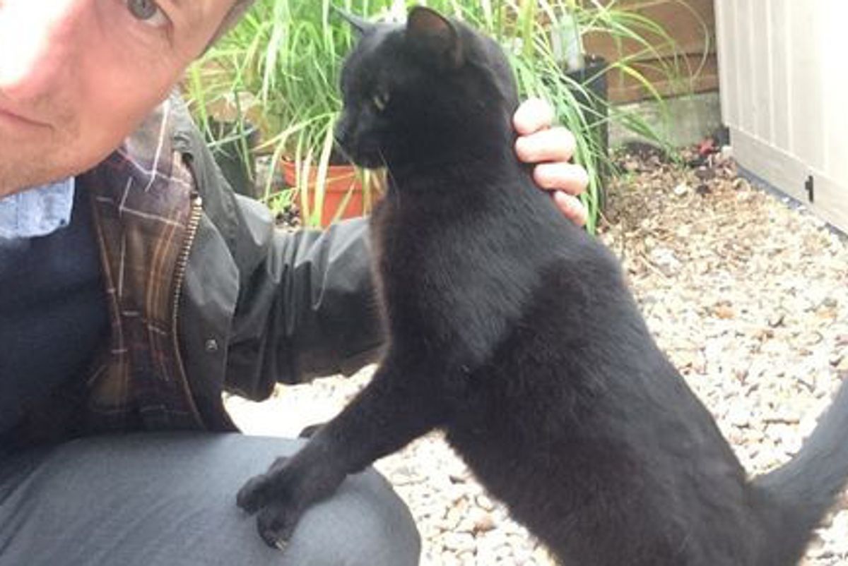 Cat Abandoned in Garden Finds Human Who Loves Her and Her Unique Paws...