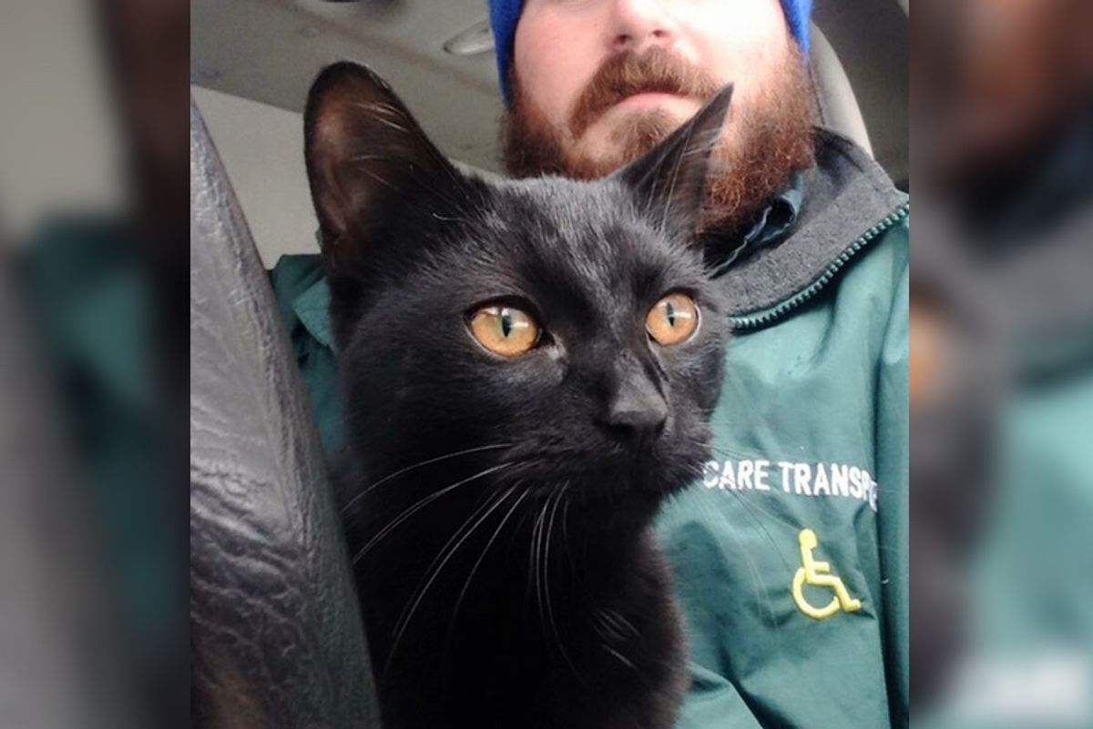 Cat Climbs Into Work Van and Decides This Man Will Be His Human...