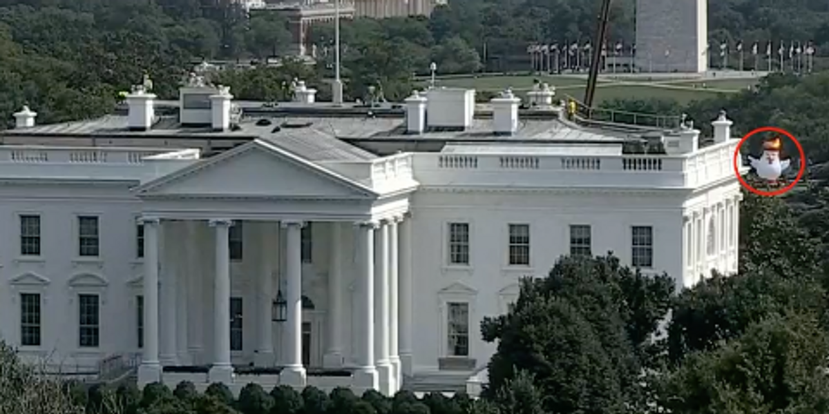 An Enormous Inflatable Chicken with Orange Hair Is Hovering Behind the White House