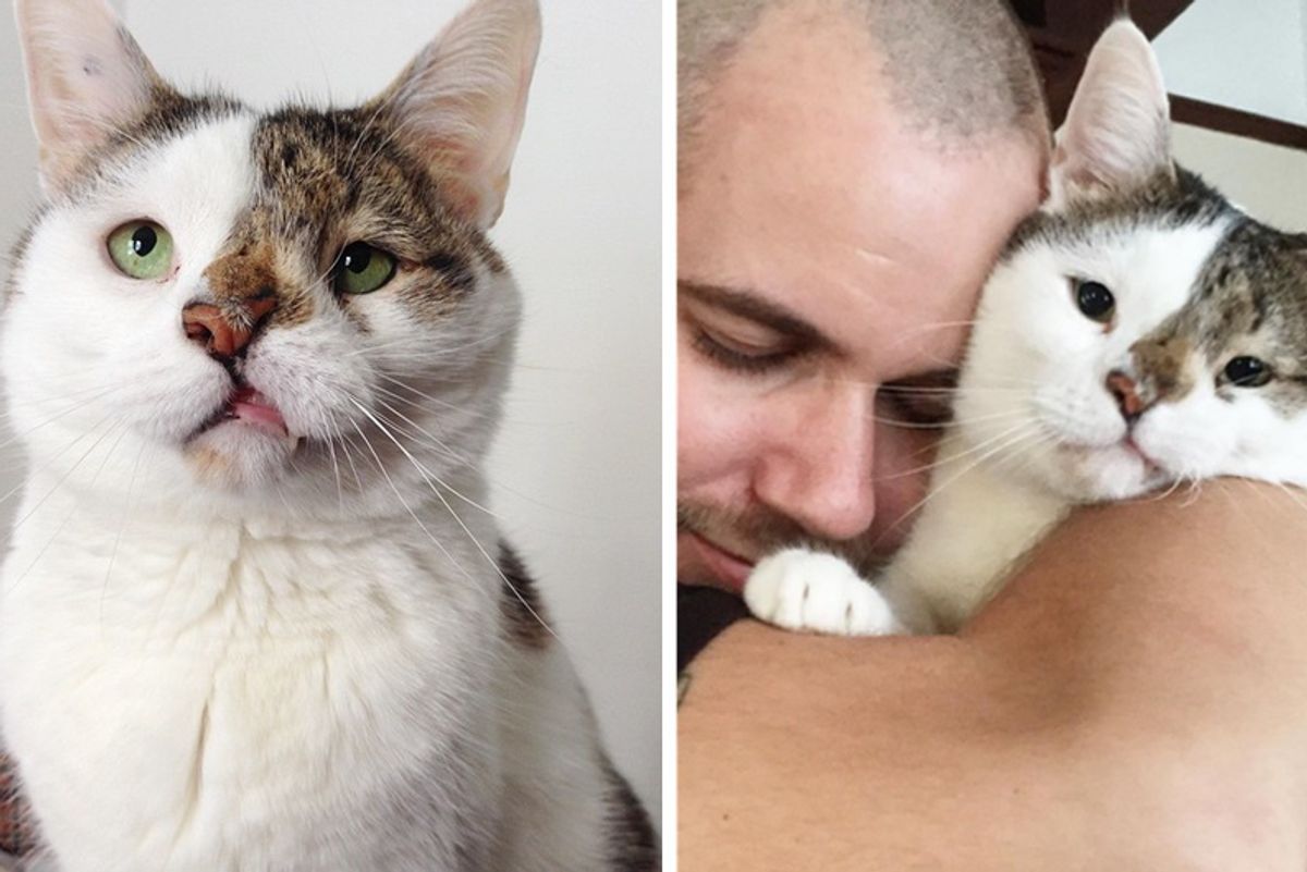 Man Chosen by His Roommate’s Special Cat Realizes They Couldn’t Do Without Each Other…