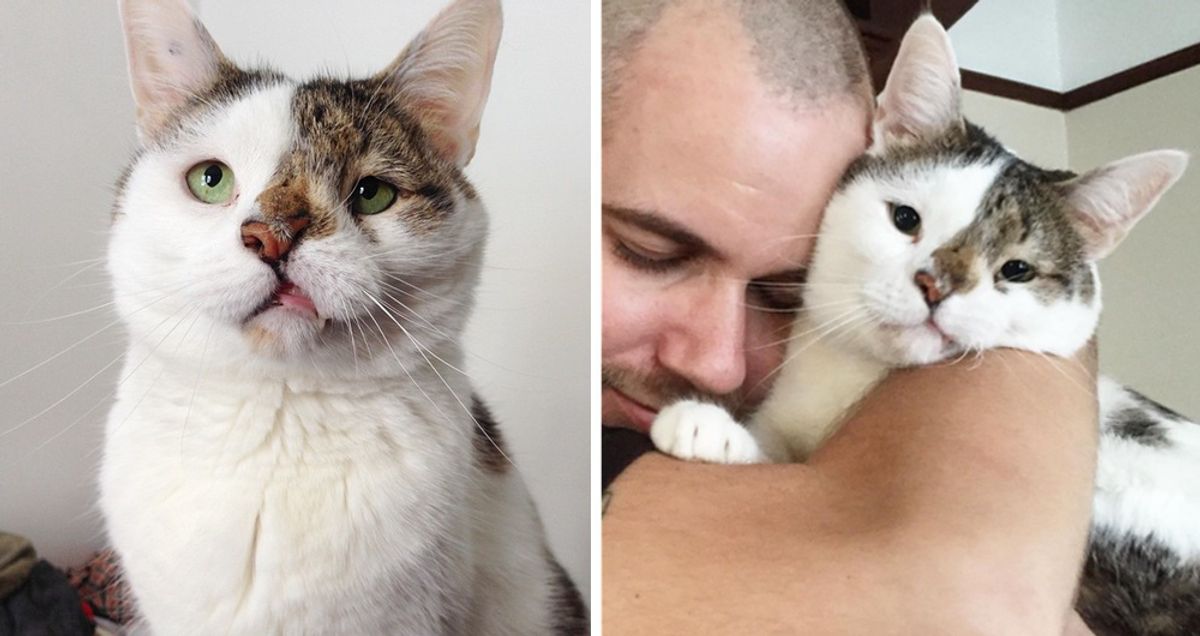 Man Chosen by His Roommate’s Special Cat Realizes They Couldn’t Do Without Each Other…