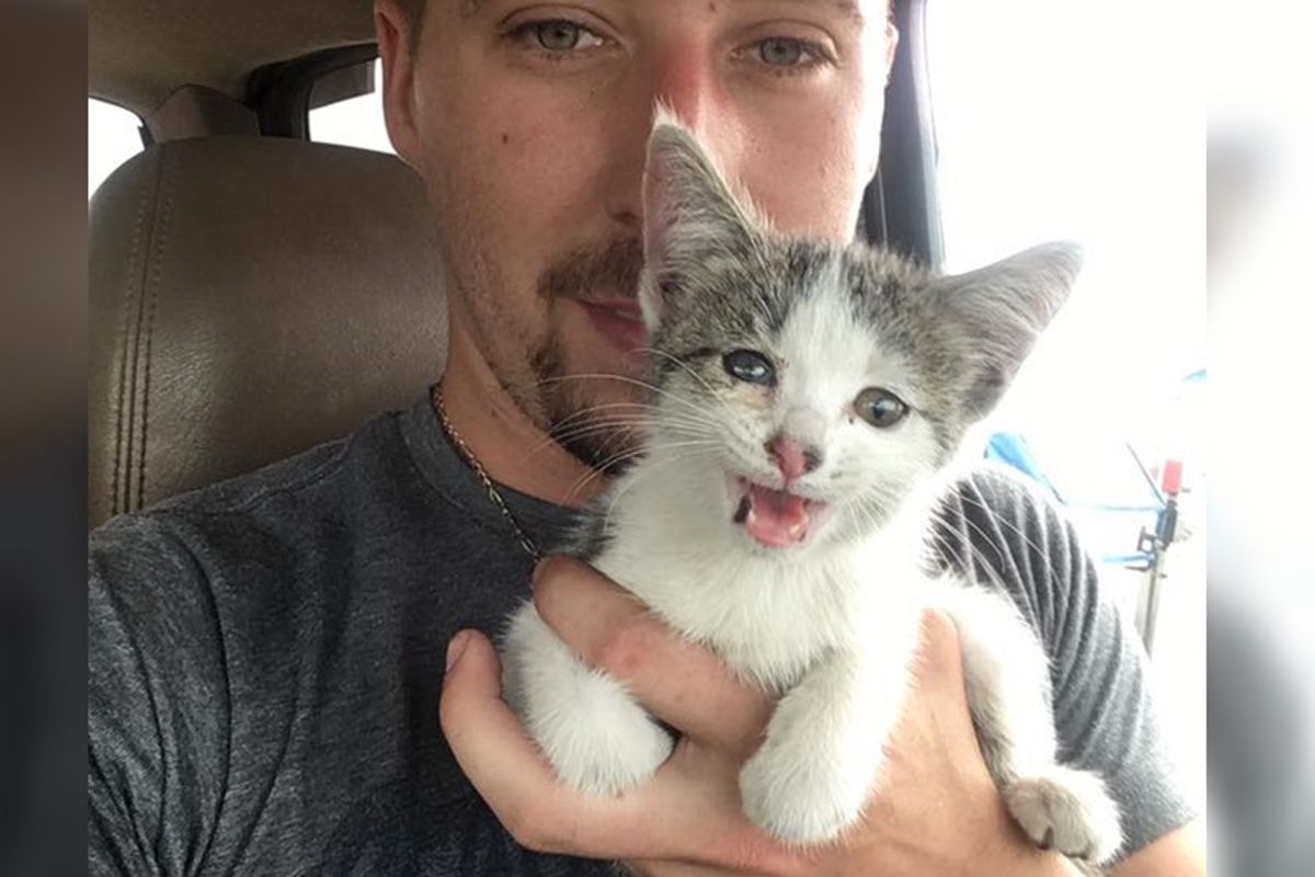 Man Blocks Traffic on Highway to Save Kitten From Middle of Road...