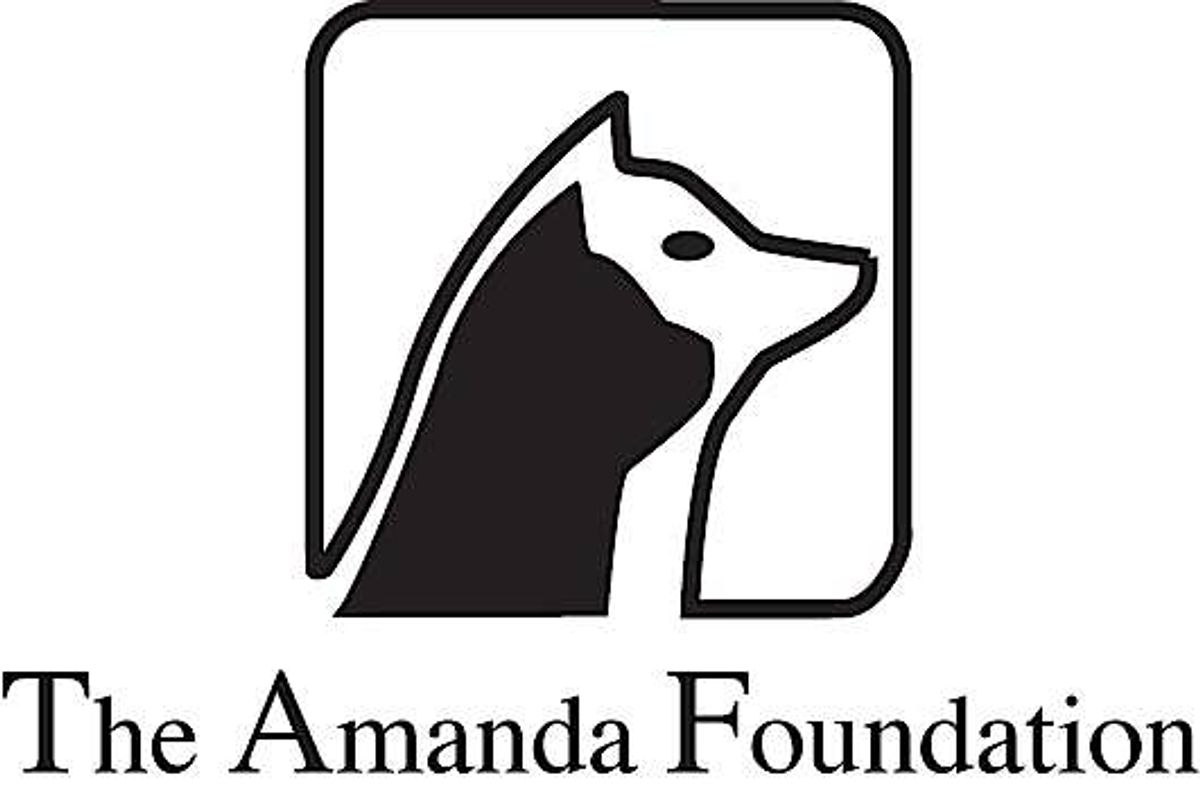 Giving Back in LA: The Amanda Foundation