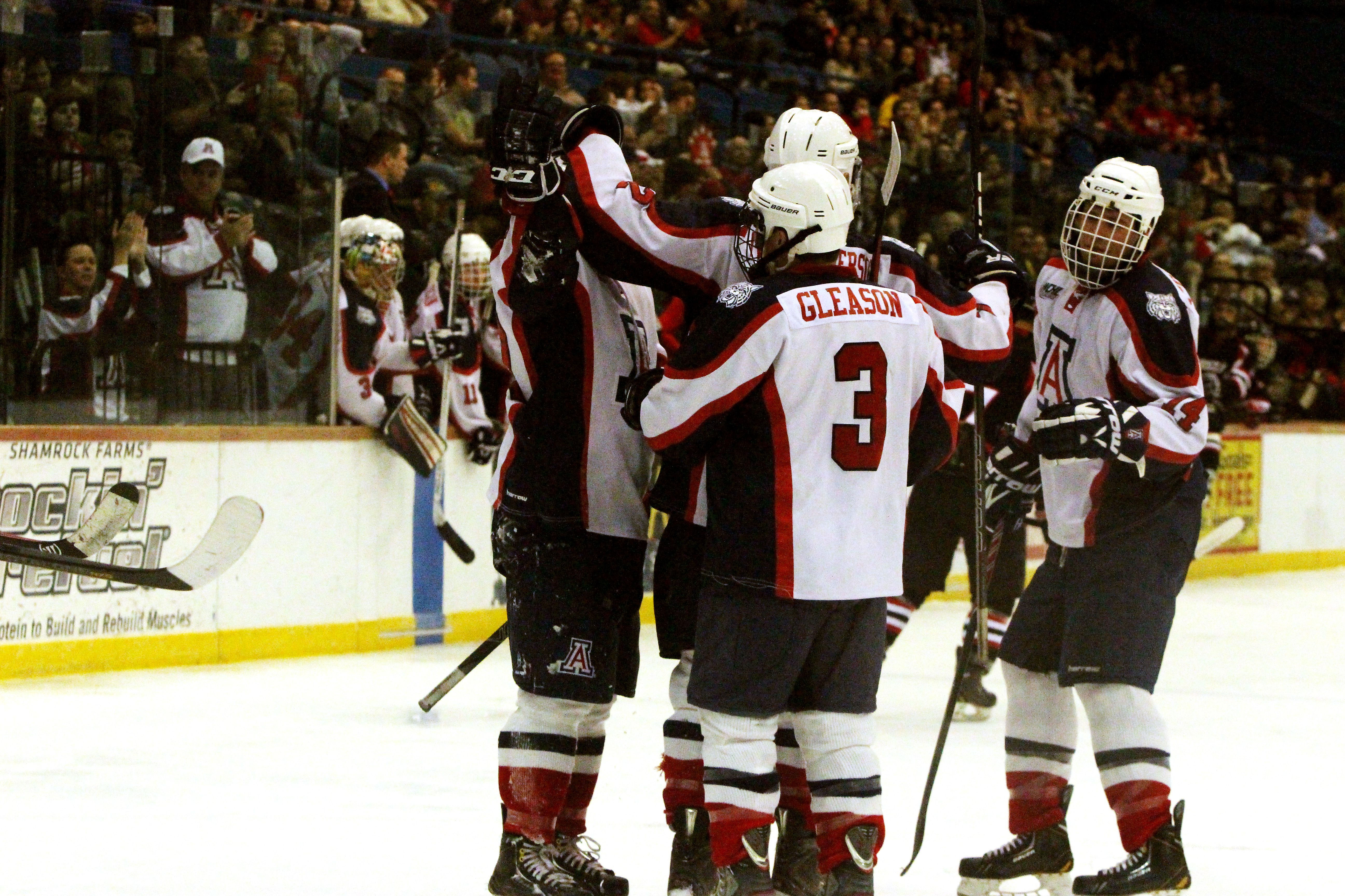 Arizona Wildcats Hockey On The Rise