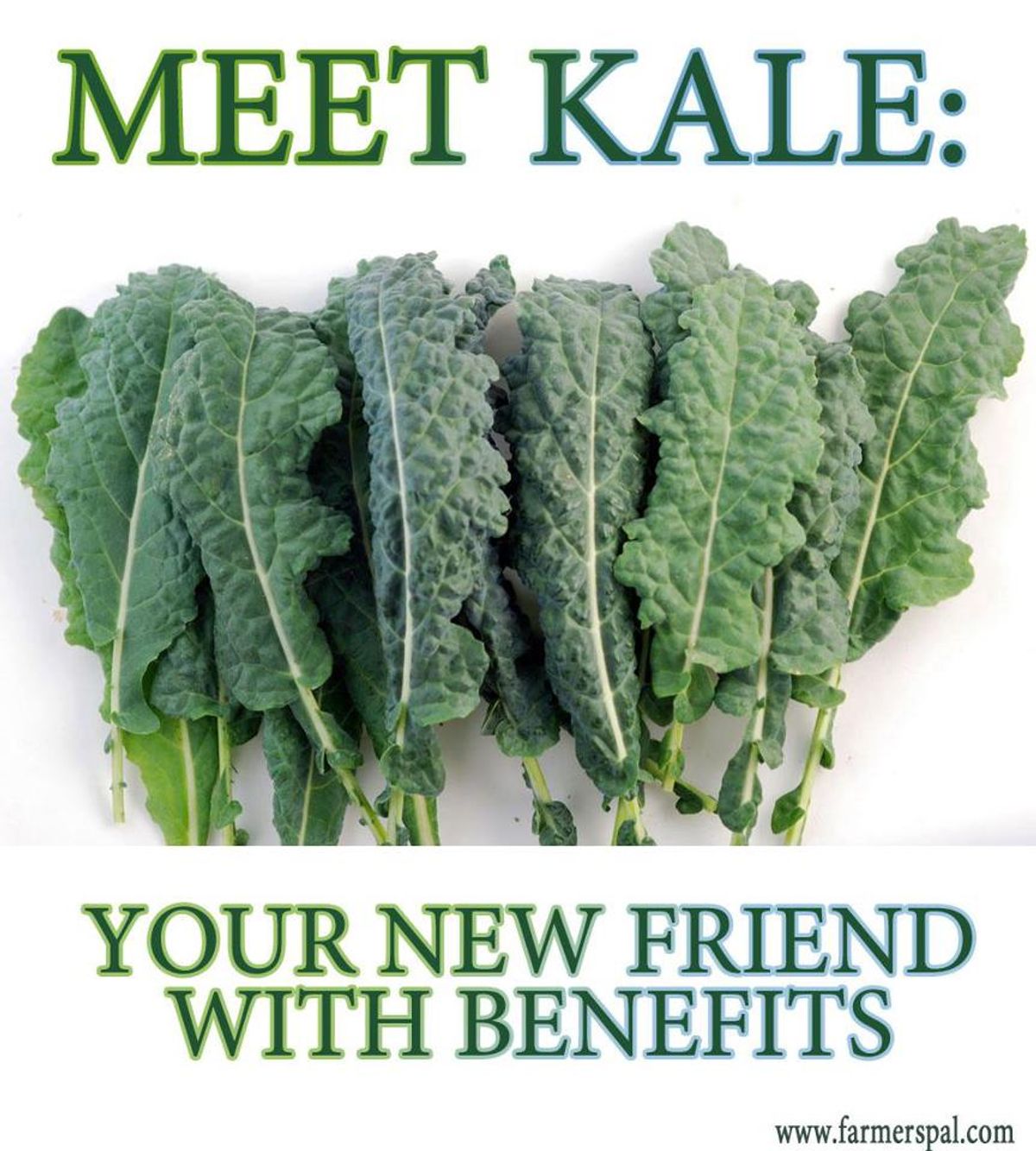 Calcium 101? Oh Kale Yes!