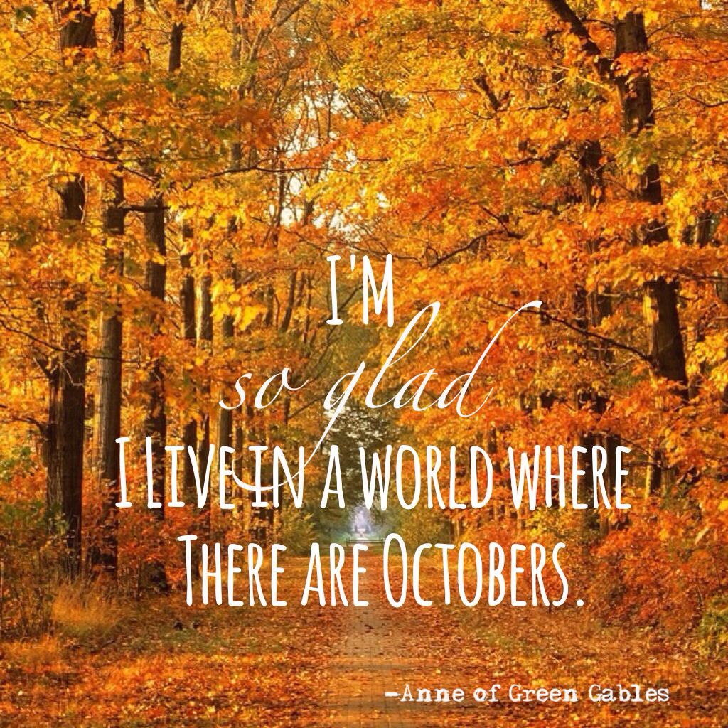 fall into autumn blog hop