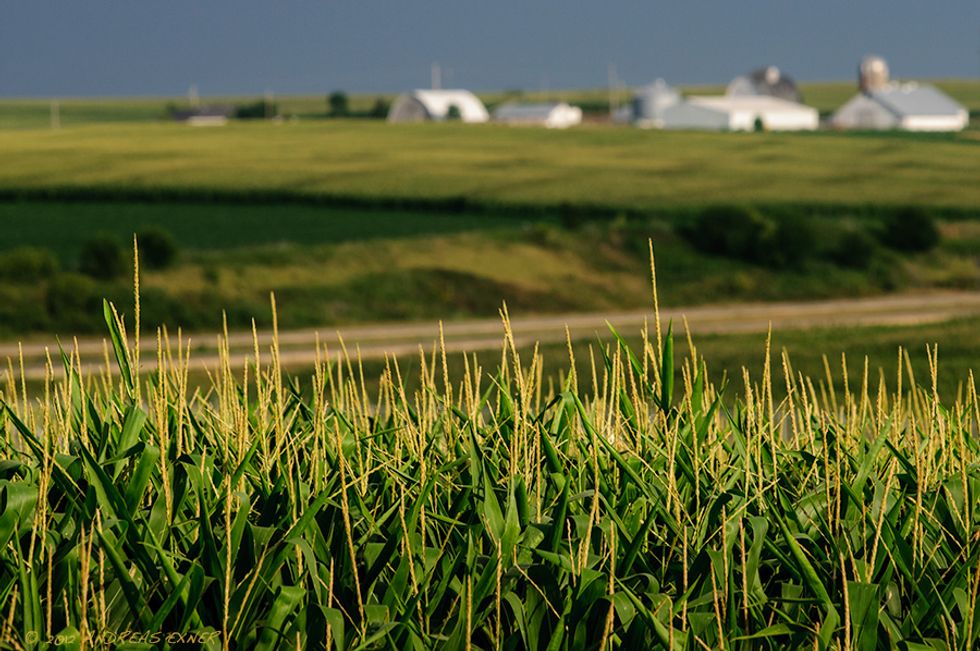 10 Fun Facts You Didn't Know About Iowa