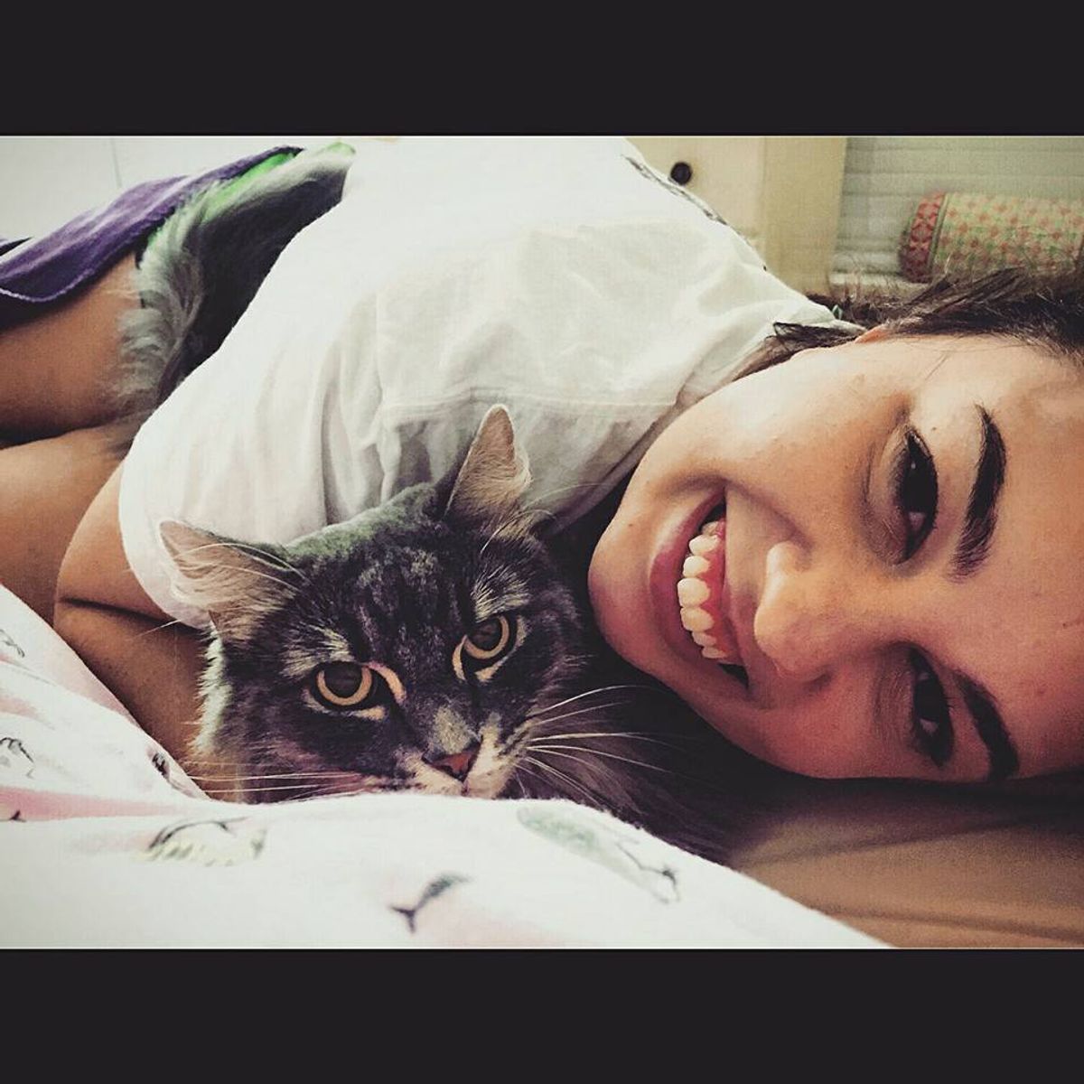 5 Reasons Cats Make The Best Pets