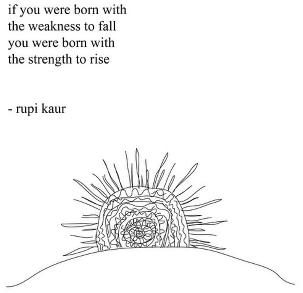 rupi kaur poems