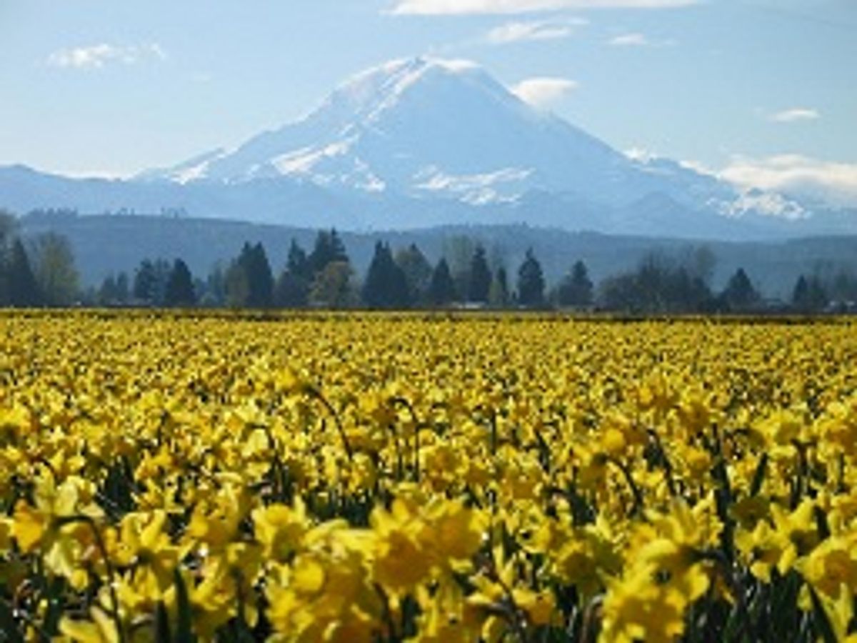 30 Signs You Grew Up In Puyallup, WA