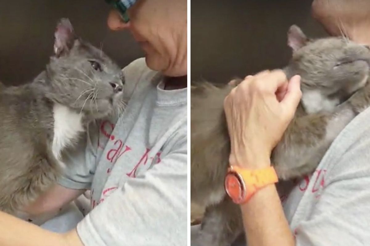 Cat with Broken Jaw So Thankful for Second Chance, He Melts into Woman’s Arms and Won't Let Go...