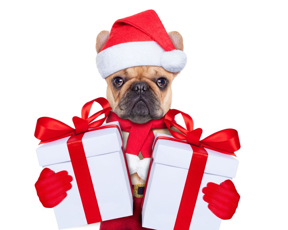 10 Reasons Why Winter Break Is The Best Break 10-reasons-why-winter-break-is-the-best-break