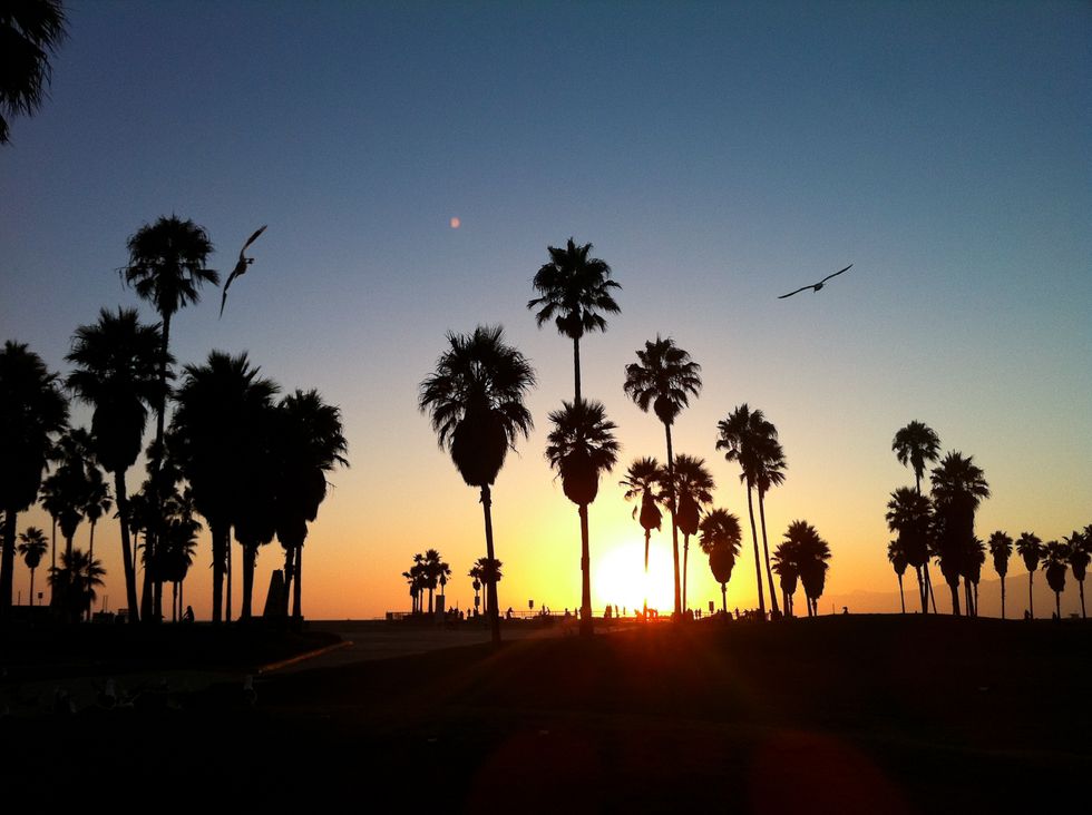 15 Reasons Why The West Coast Is The Best Coast